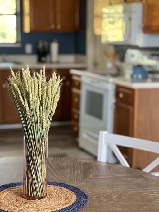 Charming House In Sevierville Family Friendly Quiet Location Close To Wilderness ภายนอก รูปภาพ